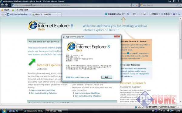 Internet Explorer 8.0 (IE8) for WinXP 英文版 8.0 正式版